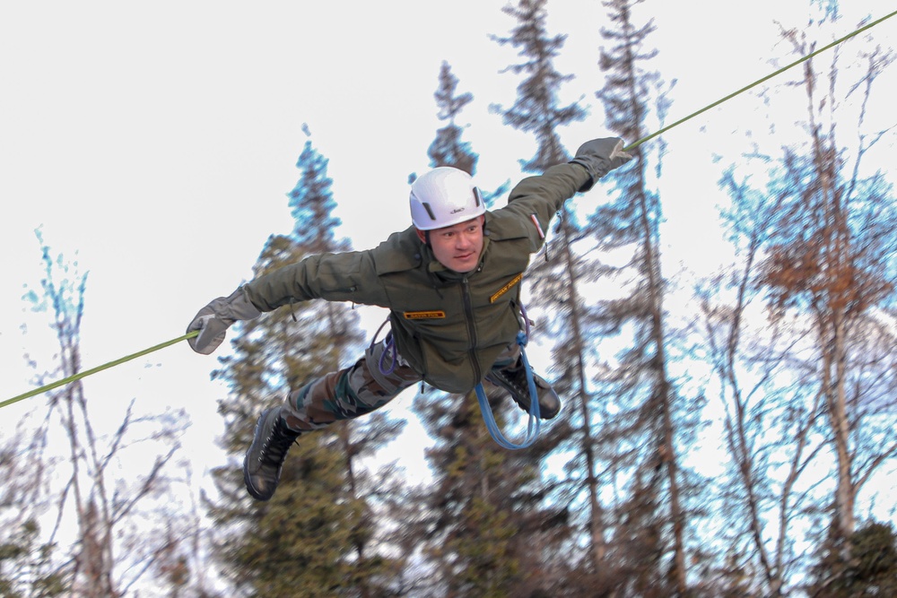 Zipping Through the Trees