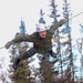 Zipping Through the Trees