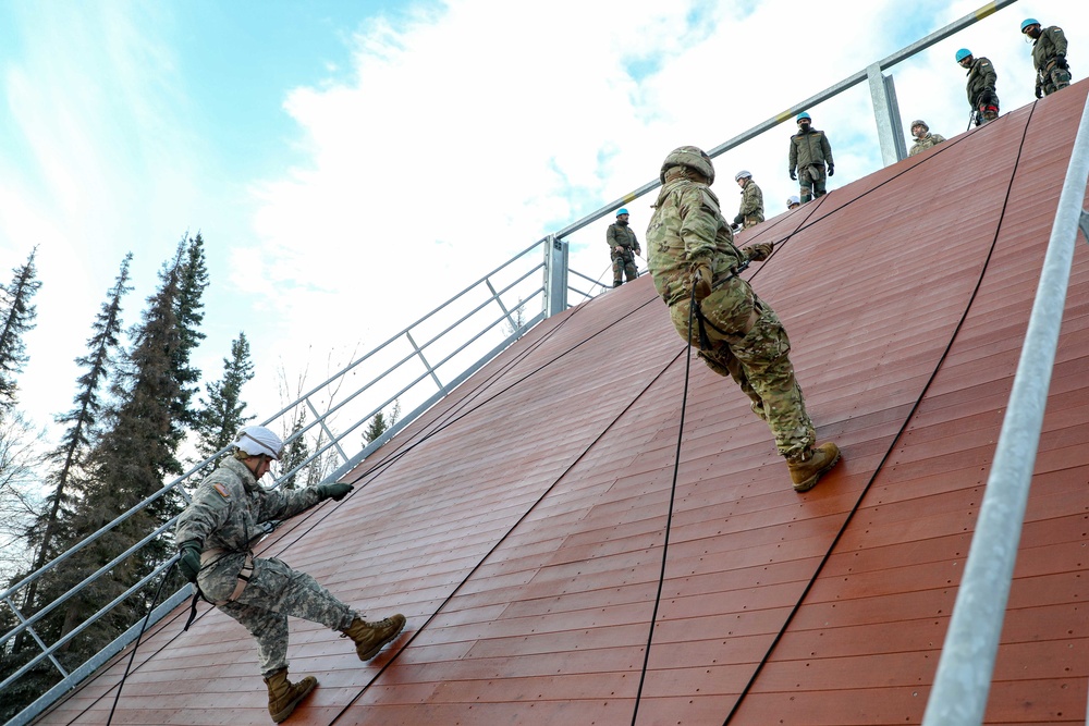 Rappel with a Partner