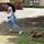 A Pet With a Purpose
