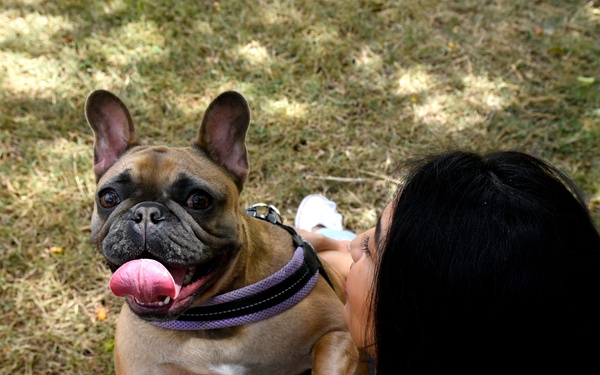 A Pet With a Purpose