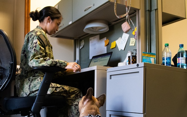 A Pet With a Purpose