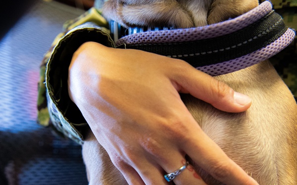 A Pet With a Purpose