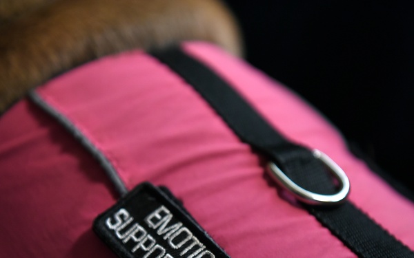 A Pet With a Purpose