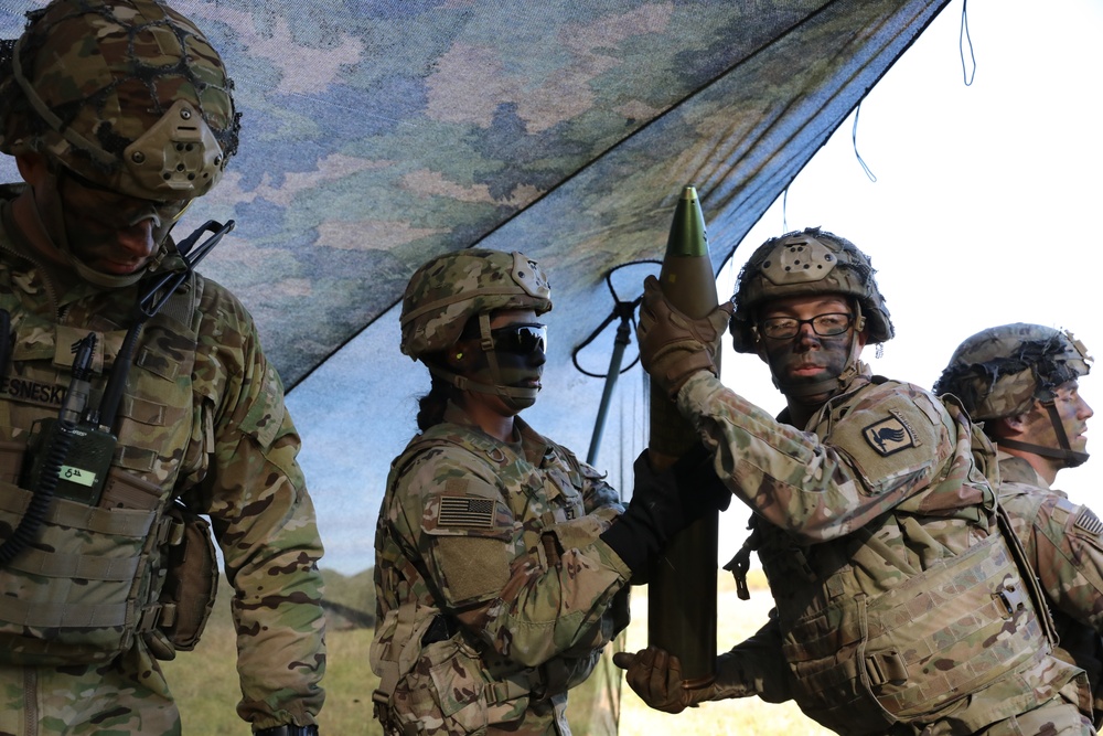 Artillerymen across Grafenwoehr certify the King of the Heard