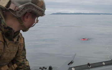 MCSC begins fielding amphibious robot system for littoral missions