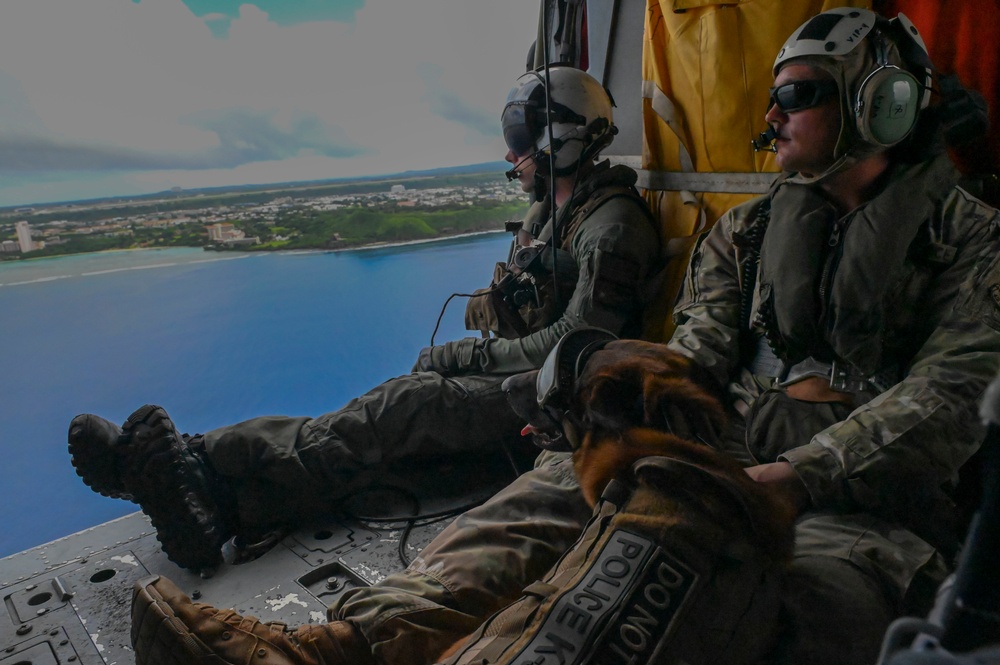 Military working dogs take their first flight at Andersen AFB