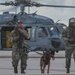 Military working dogs take their first flight at Andersen AFB