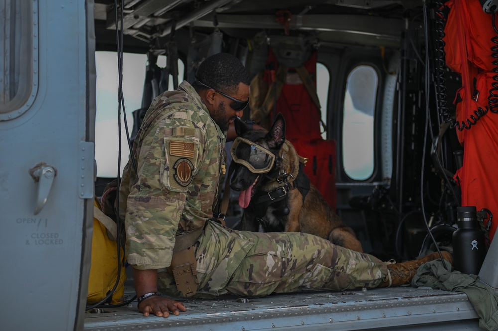 Military working dogs take their first flight at Andersen AFB