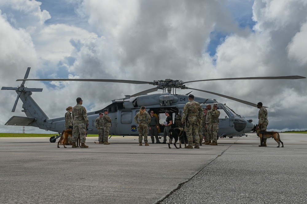 Military working dogs take their first flight at Andersen AFB