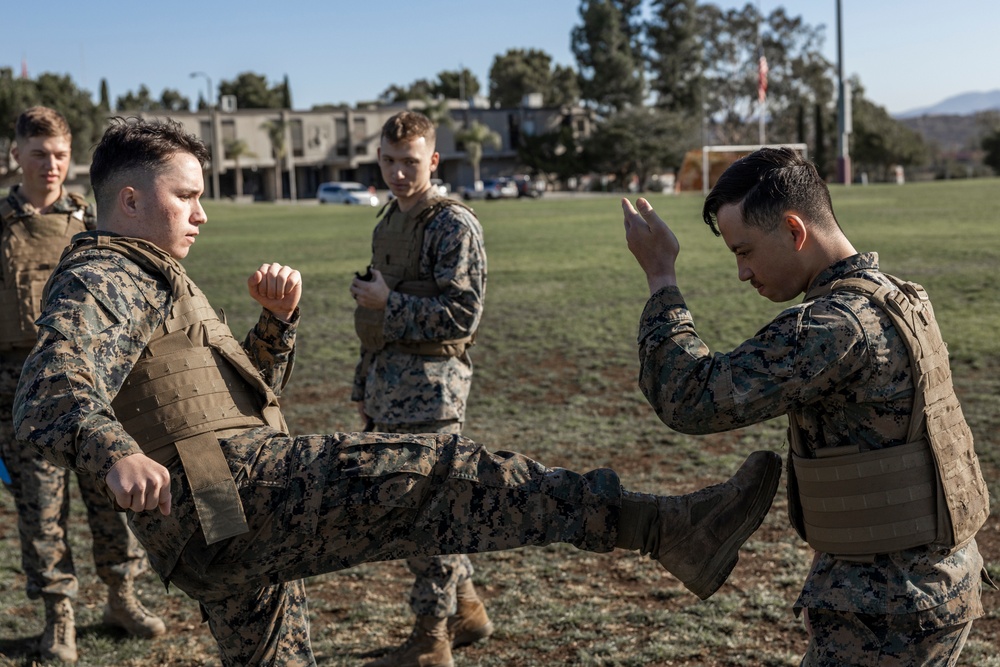 Marines participate in MCMAP