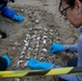 Sea turtle nest excavation on Dam Neck Annex Beach