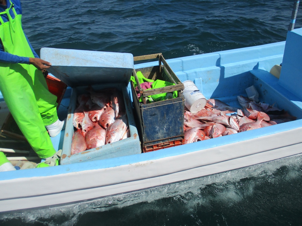Coast Guard interdicts 3 lanchas illegally fishing US waters