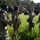 25th ID Soldiers preparing to relocate operation center during JPMRC rotation 22-01 25th ID Soldiers preparing to relocate operation center during JPMRC rotation 22-01