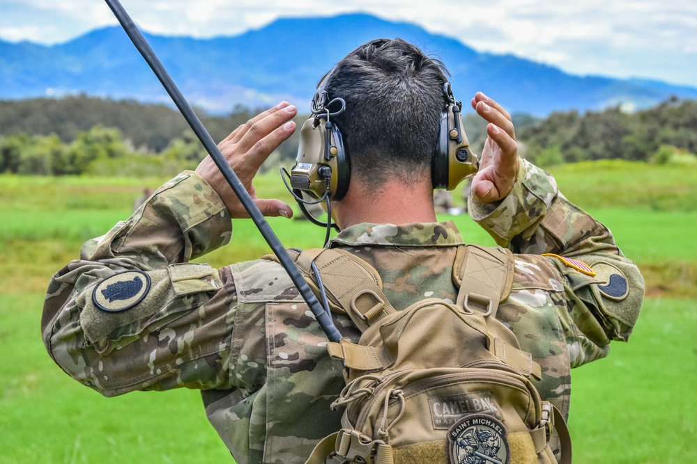 DVIDS - Images - 126th and 189th Aviation Regiments conduct hoist ...