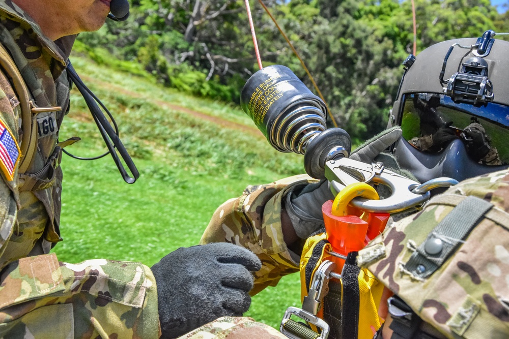 126th and 189th Aviation Regiments conduct hoist operations