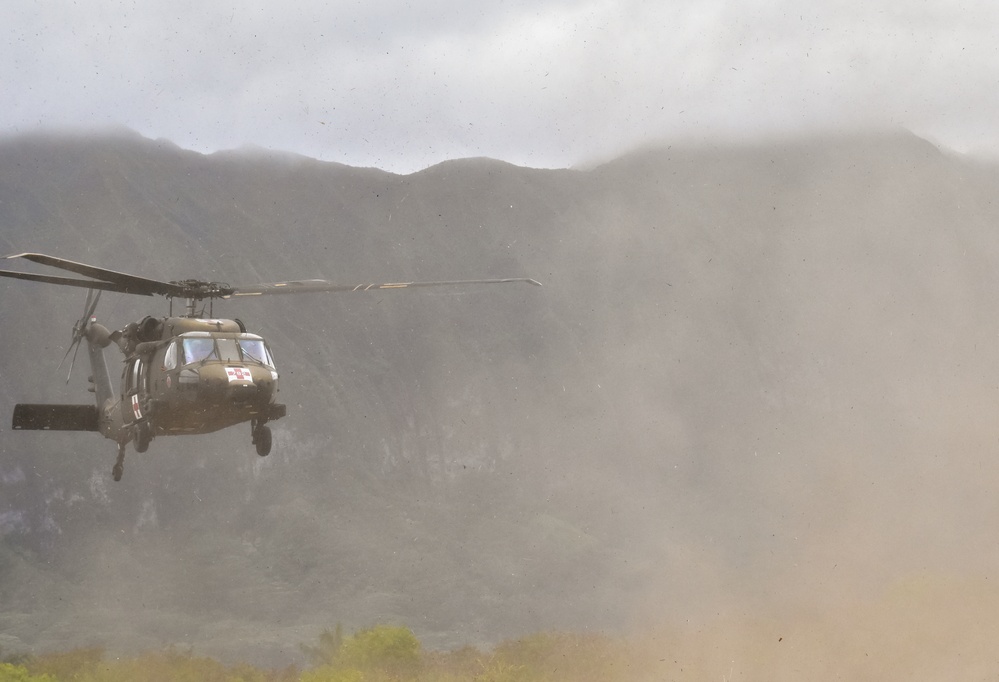 126th and 189th Aviation Regiments conduct hoist operations
