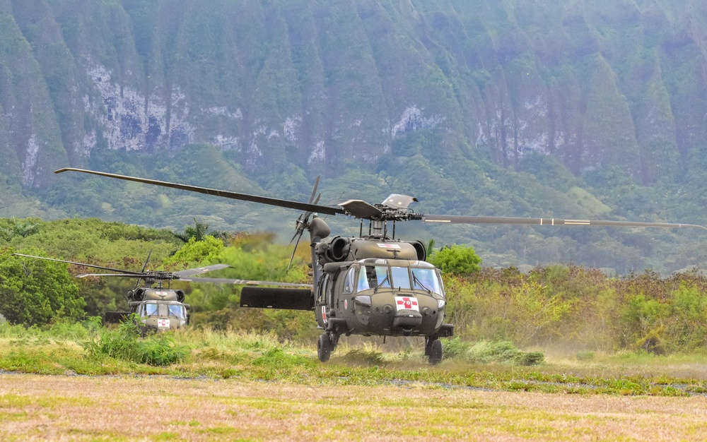 126th and 189th Aviation Regiments conduct hoist operations