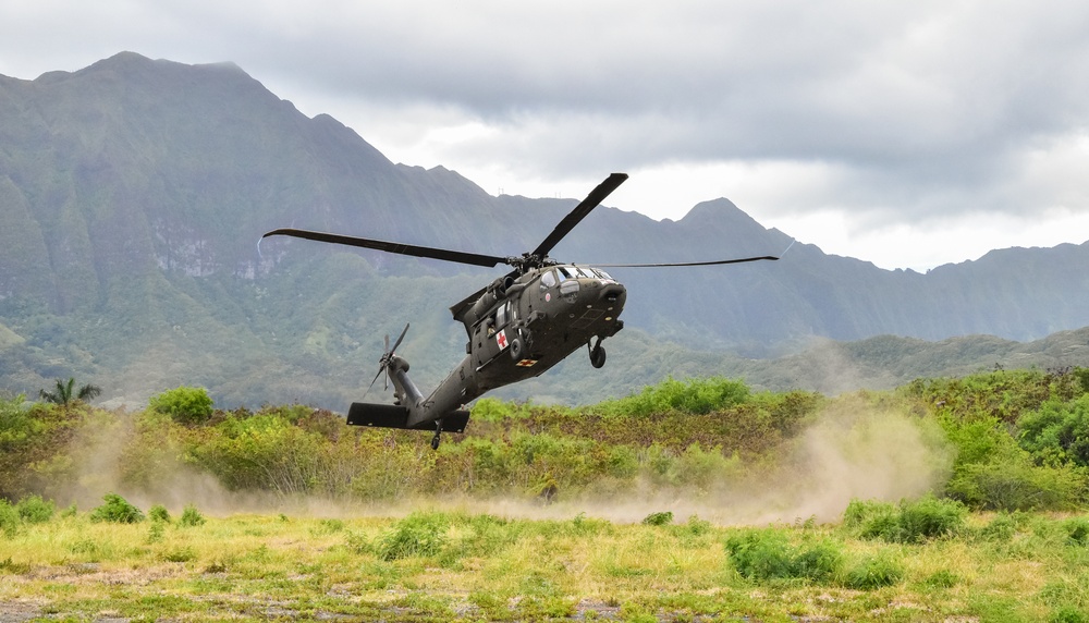 126th and 189th Aviation Regiments conduct hoist operations