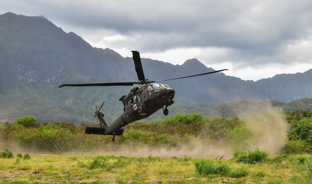 126th and 189th Aviation Regiments conduct hoist operations