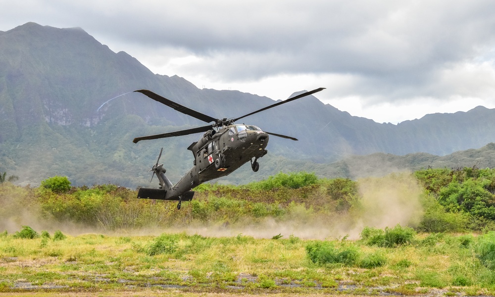 126th and 189th Aviation Regiments conduct hoist operations