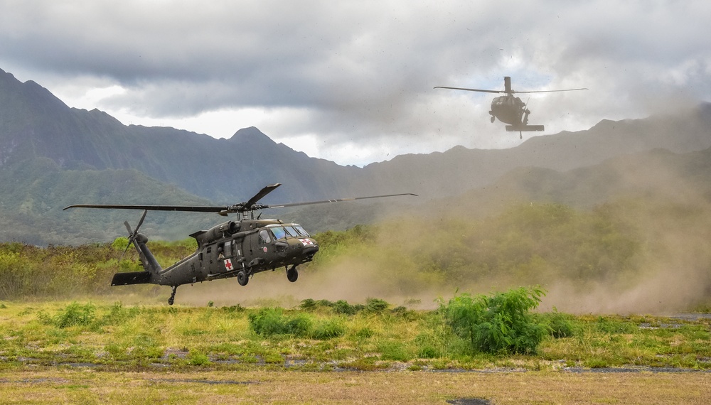 126th and 189th Aviation Regiments conduct hoist operations