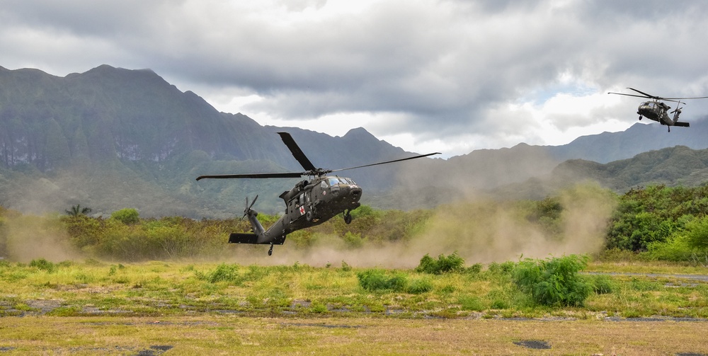 126th and 189th Aviation Regiments conduct hoist operations