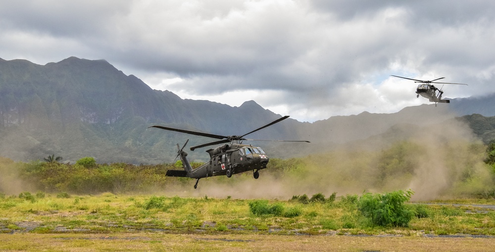 126th and 189th Aviation Regiments conduct hoist operations