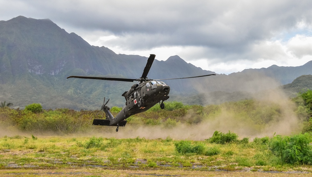 126th and 189th Aviation Regiments conduct hoist operations