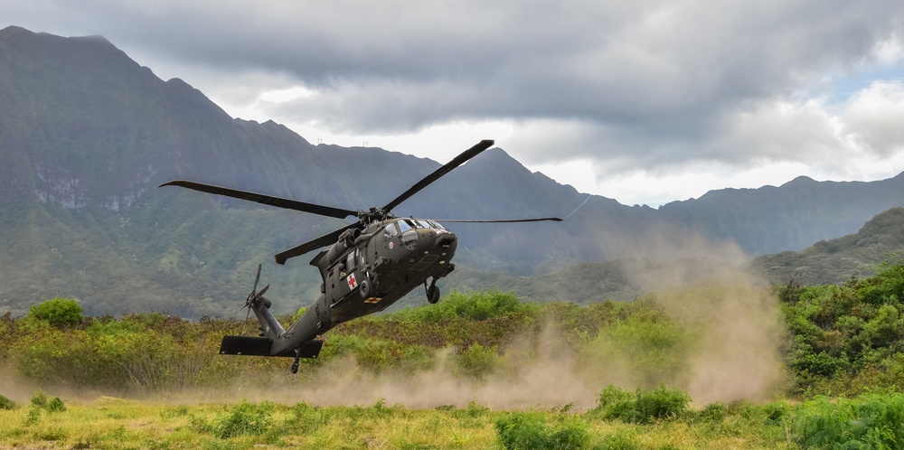 126th and 189th Aviation Regiments conduct hoist operations