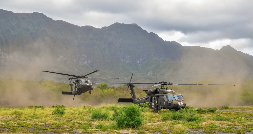 126th and 189th Aviation Regiments conduct hoist operations