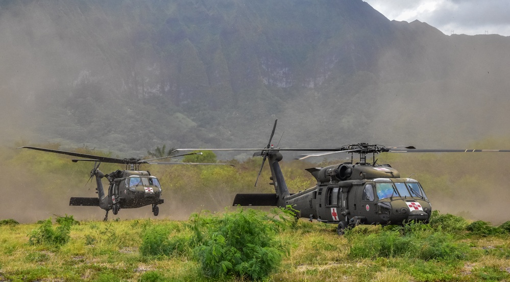 126th and 189th Aviation Regiments conduct hoist operations