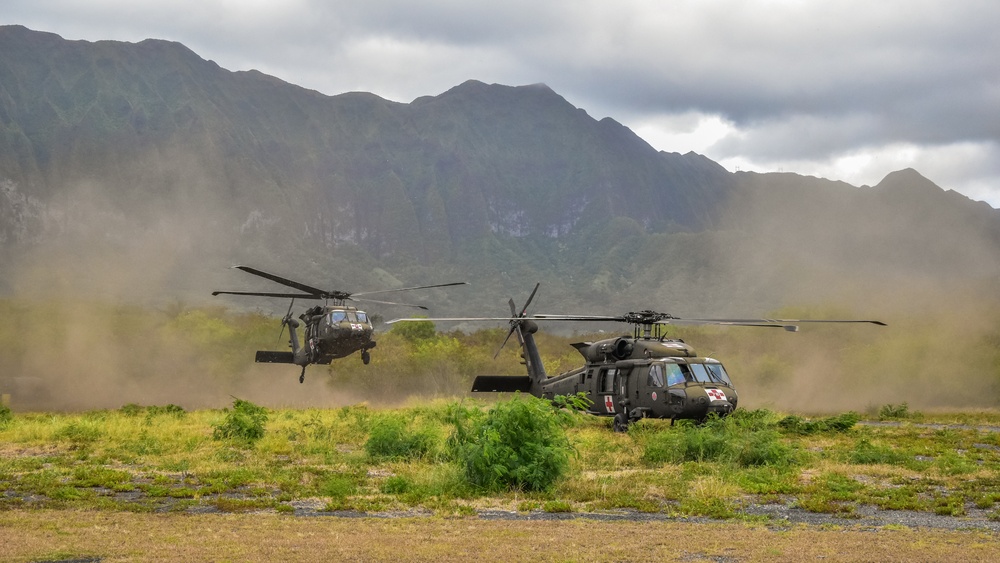 126th and 189th Aviation Regiments conduct hoist operations