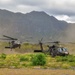 126th and 189th Aviation Regiments conduct hoist operations