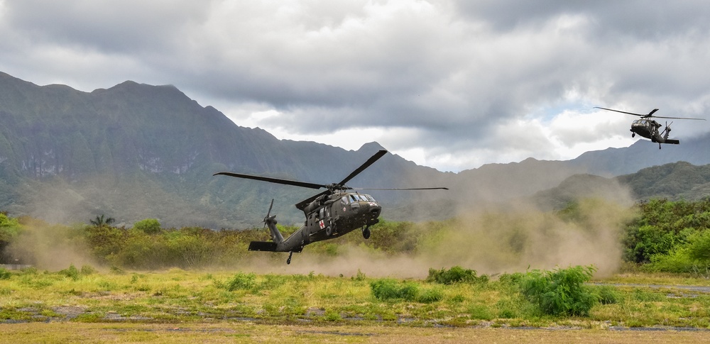 126th and 189th Aviation Regiments conduct hoist operations