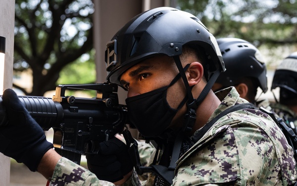 Guardians of the Fleet