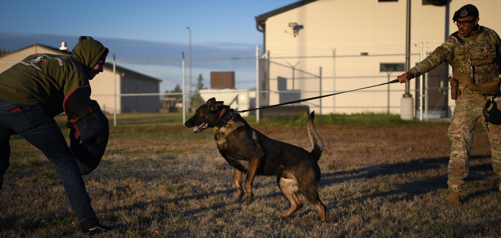 319th Security Forces Squadron working dogs train to protect mission