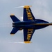 Blue Angels Navy Flight Demonstration Team - Eielson Air Force Base, AK