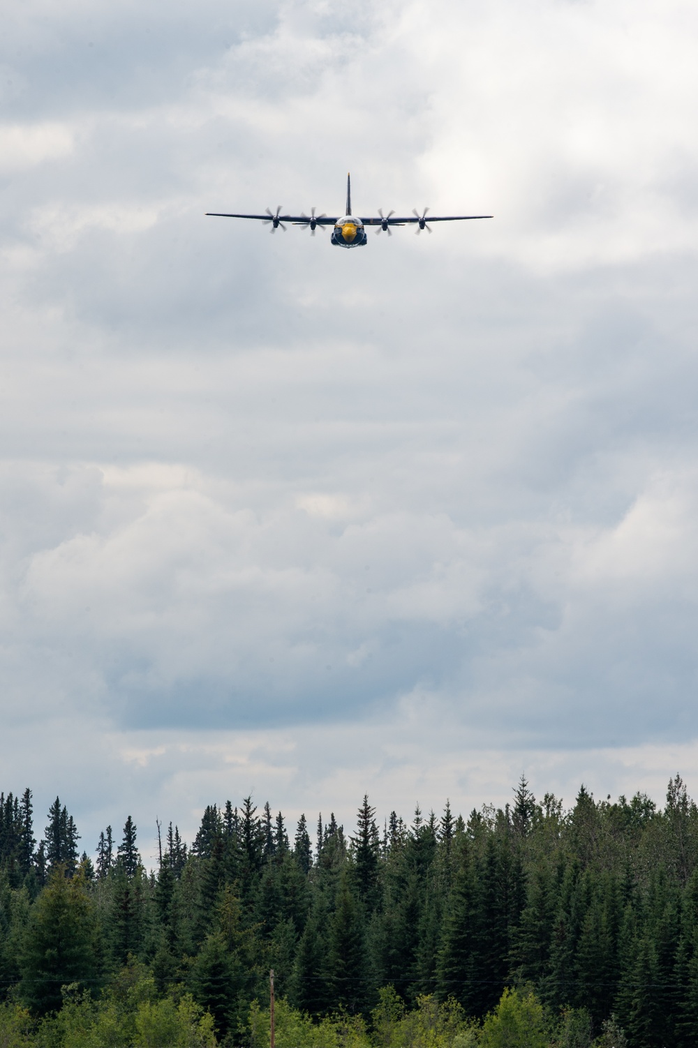 Blue Angels Navy Flight Demonstration Team - Eielson Air Force Base, AK