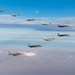 Partnership Formation Flight during Blue Flag 21 at Uvda Air Base, Israel