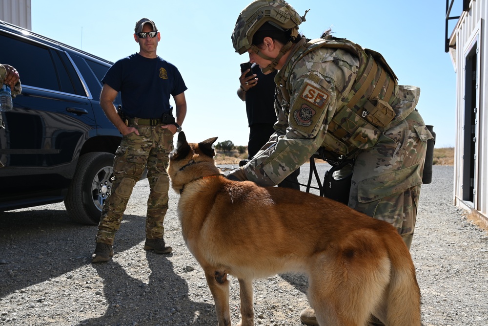 MWD Training