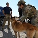 MWD Training