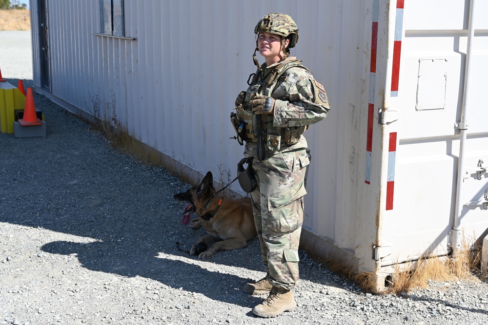 MWD Training