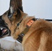 MWD Training