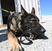 MWD Training