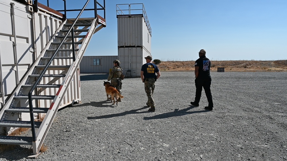 MWD Training