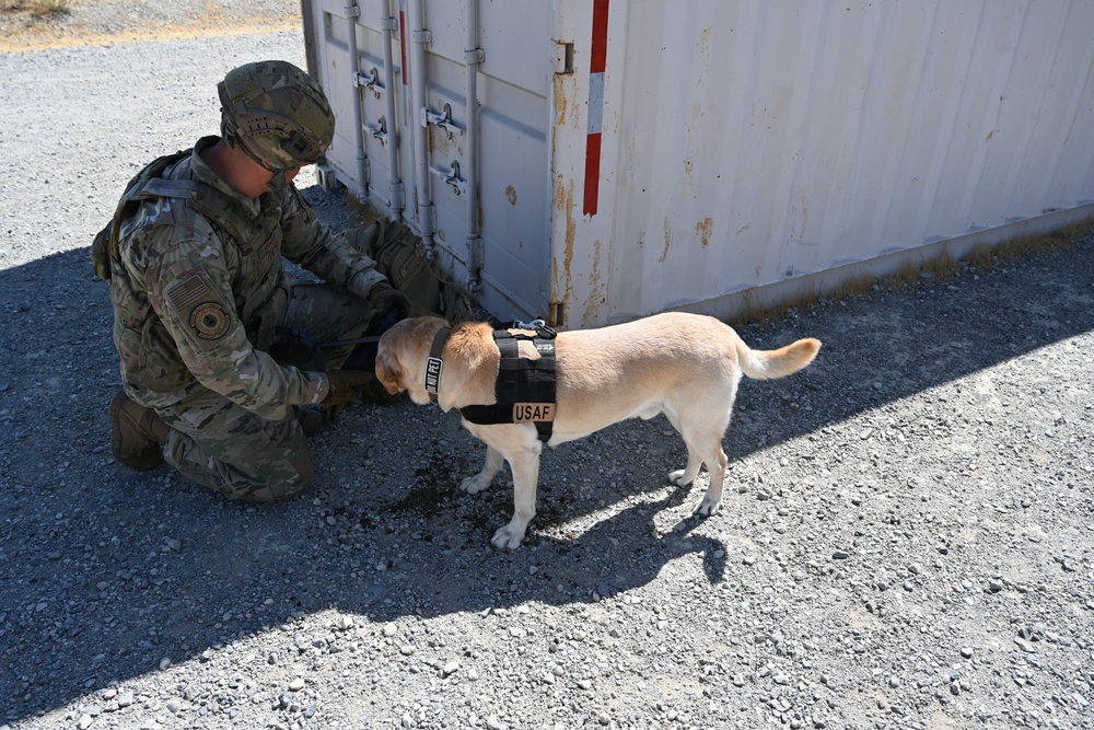 MWD Training