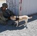 MWD Training