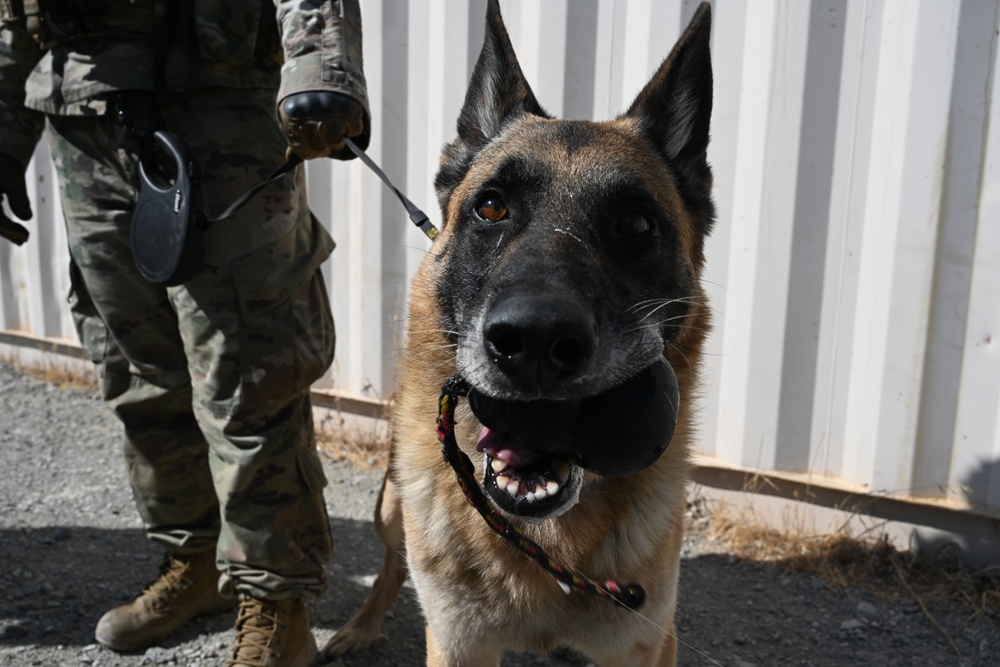 MWD Training