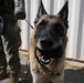 MWD Training